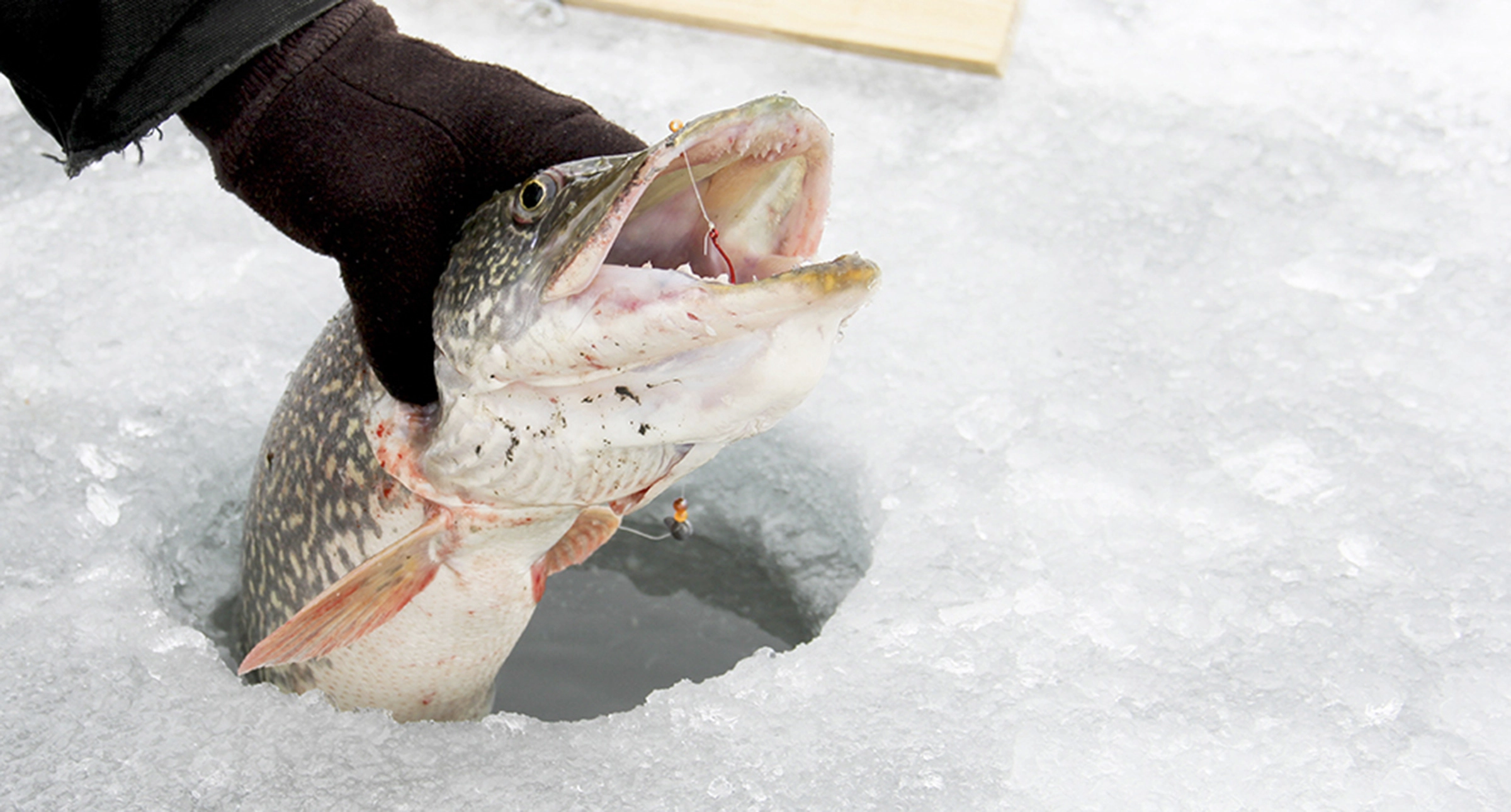 MN Camping Resort Ice Fishing